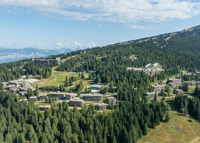 V Du Bachat - Silene D11 *